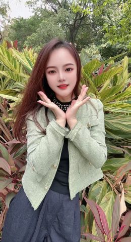 龙岗布吉桐桐