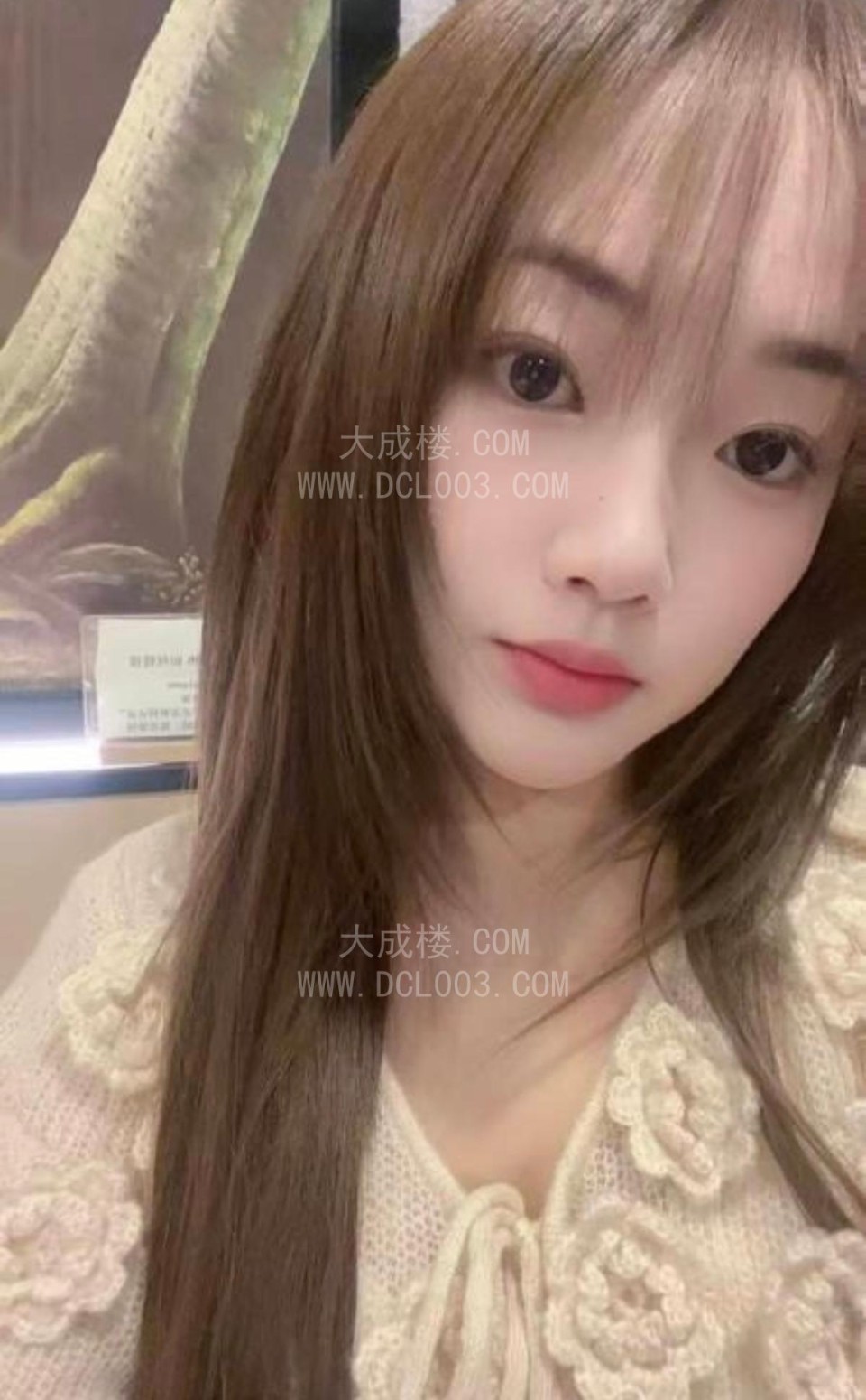 南京夫子庙霜霜回归
