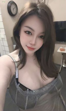 宝安大白奶小肥猫